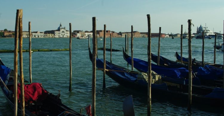 conjunto de góndolas en Venecia
